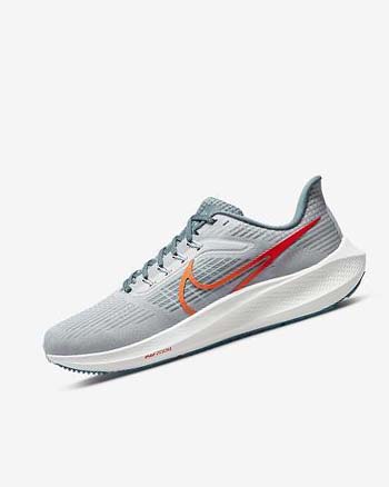 Nike Air Zoom Pegasus 39 Plateadas Naranjas | MX 2817